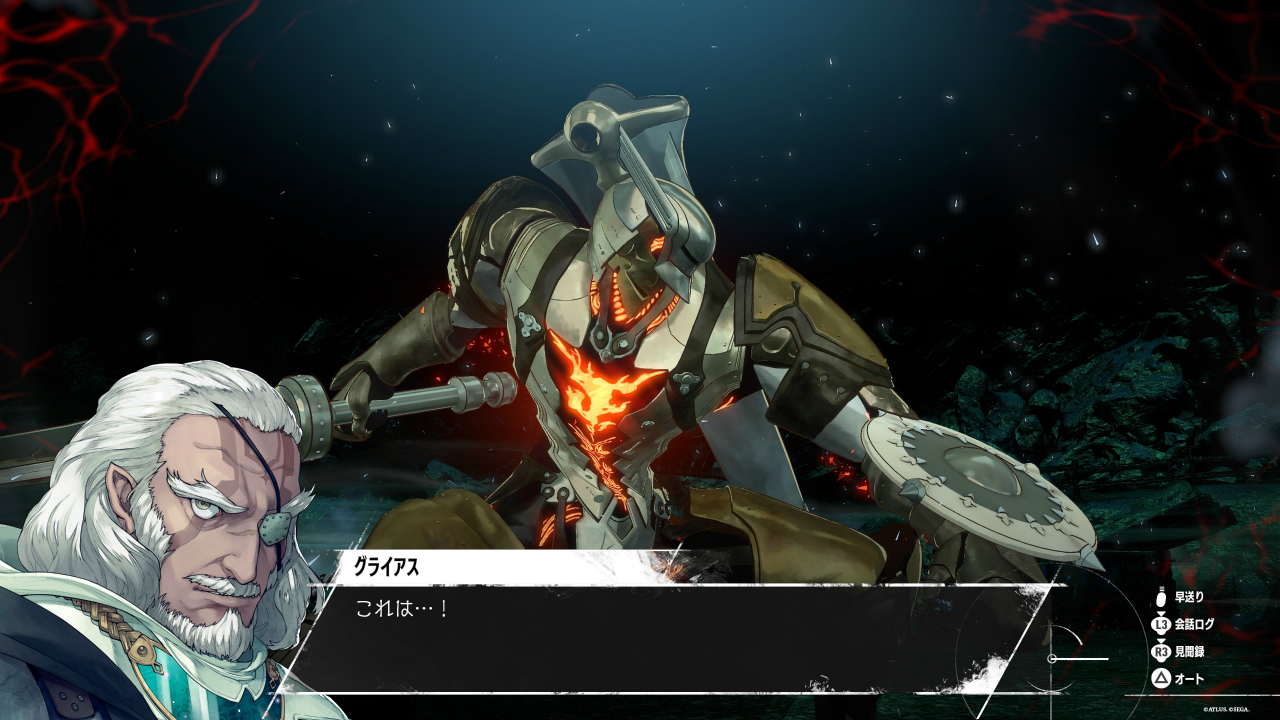 ドラゴンクエストX フィギュア 人間男＆カメさまセット A賞-1 レビュー